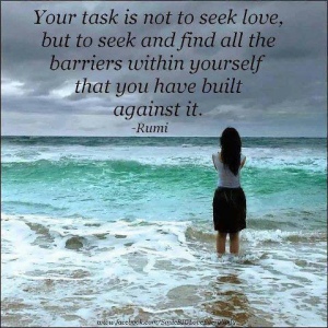 Rumi do no seek love
